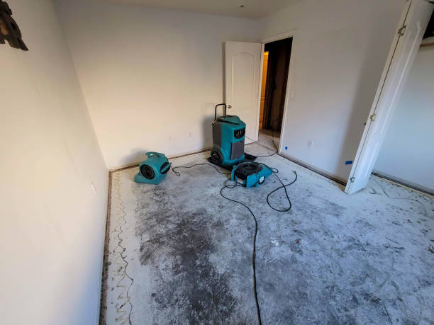 Best Flood damage cleanup  in Poquott, NY